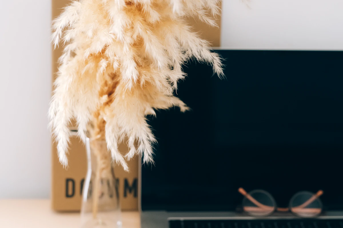 Artisan Coffee Studio